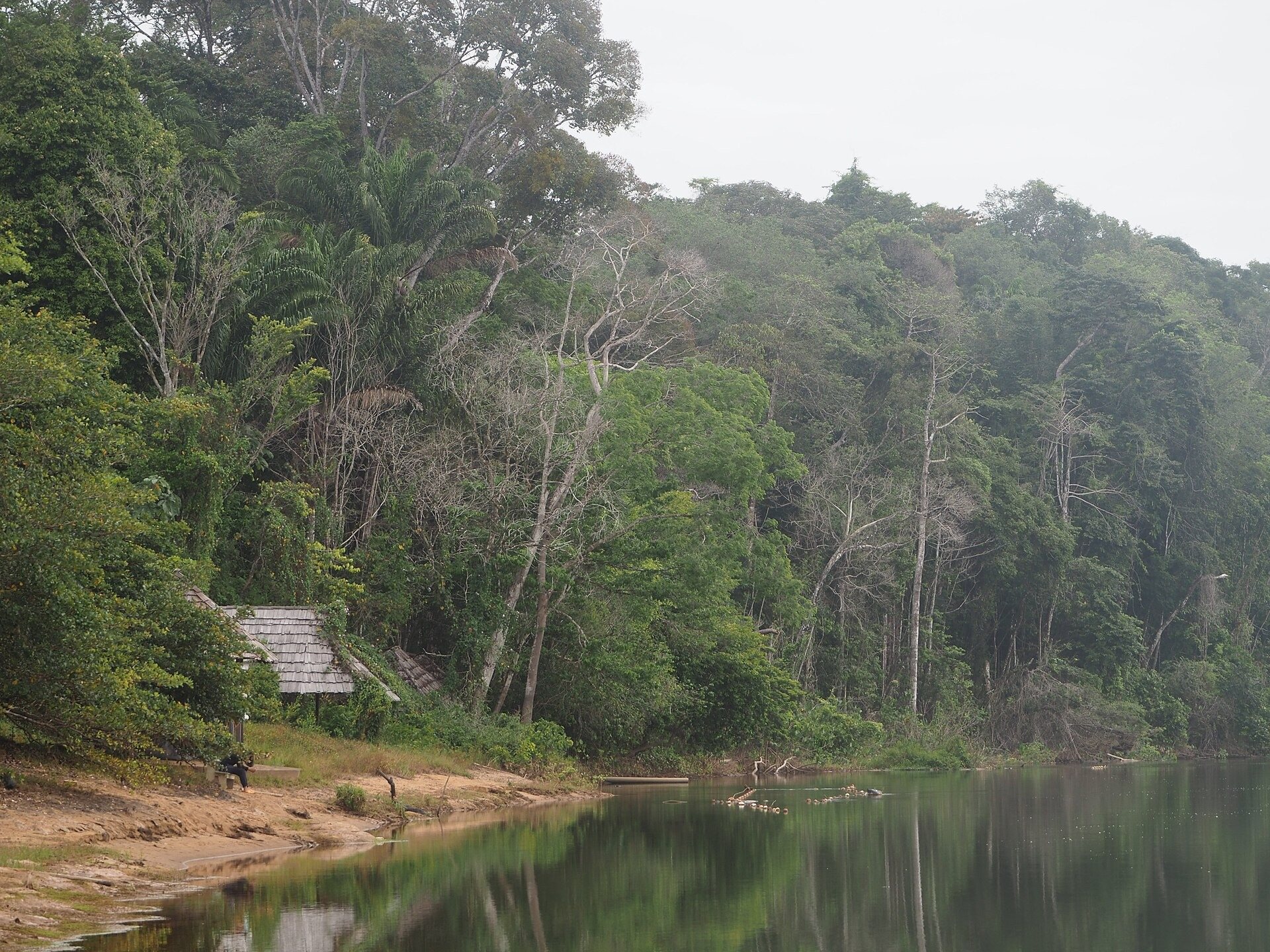 El río Surinam entre la selva, con una vivienda en la orilla